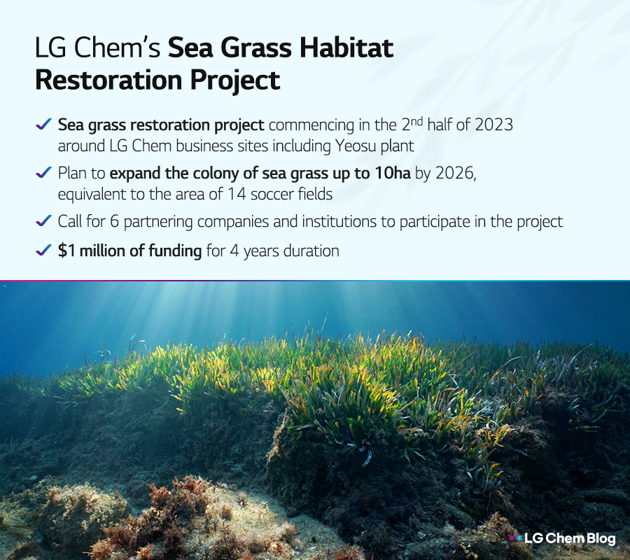 LG Chem begins restoration of sea grass to reconstruct sea forest