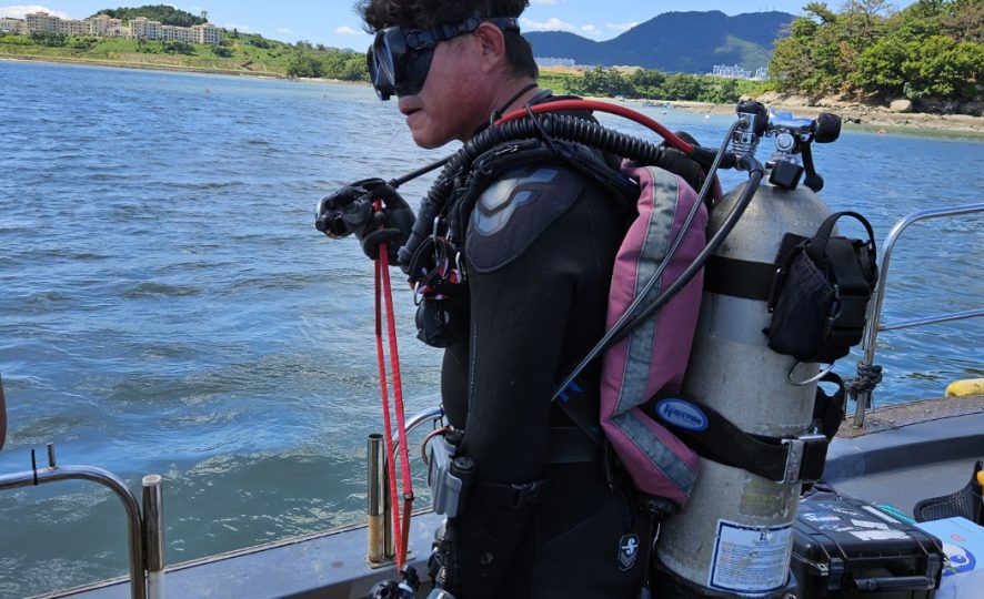 Divers participating in the Seagrass Habitat Restoration Project (Source: Korea Fisheries Resources Agency)