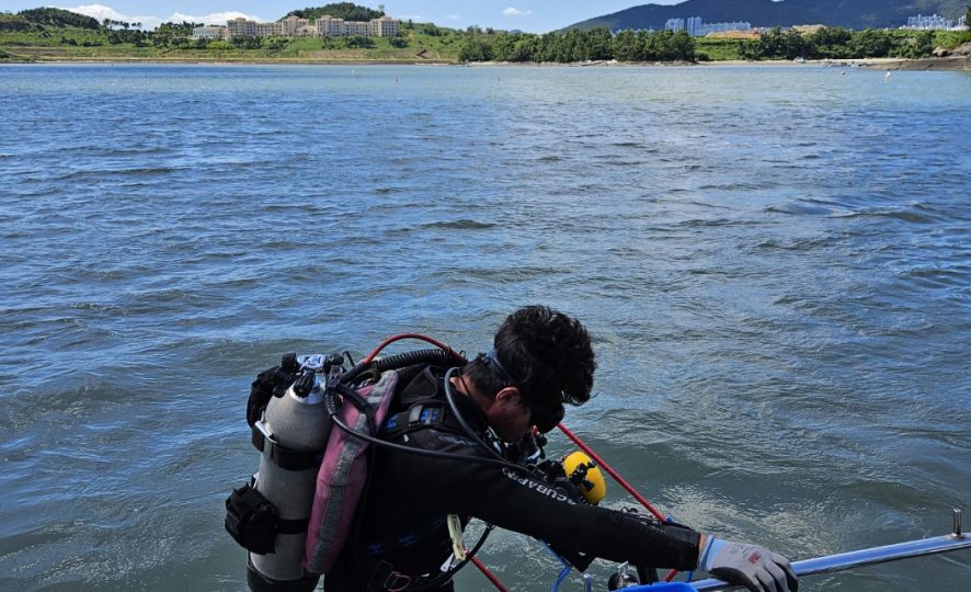 Divers participating in the Seagrass Habitat Restoration Project (Source: Korea Fisheries Resources Agency)