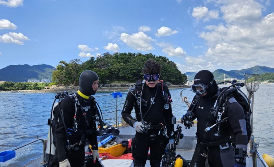 Divers participating in the Seagrass Habitat Restoration Project (Source: Korea Fisheries Resources Agency)